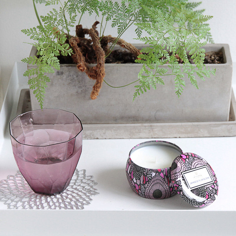 VOLUSP ジャポニカ ティンキャンドル S ジャパニーズプラムブルーム