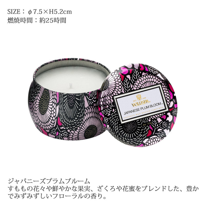 VOLUSP ジャポニカ ティンキャンドル S ジャパニーズプラムブルーム