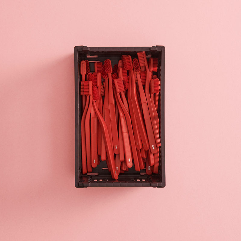 【10%OFFキャンペーン】 HAY COLOUR CRATE S
