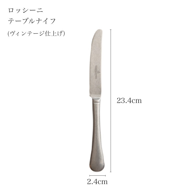 ピカード＆ヴィールプッツ ロッシーニ ヴィンテージ テーブルナイフのサイズ詳細
