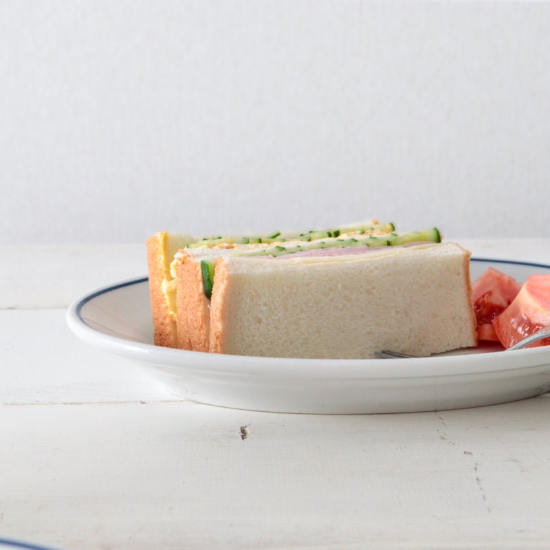 サタルニア チボリ ブルーライン オーバルプレート 25cm