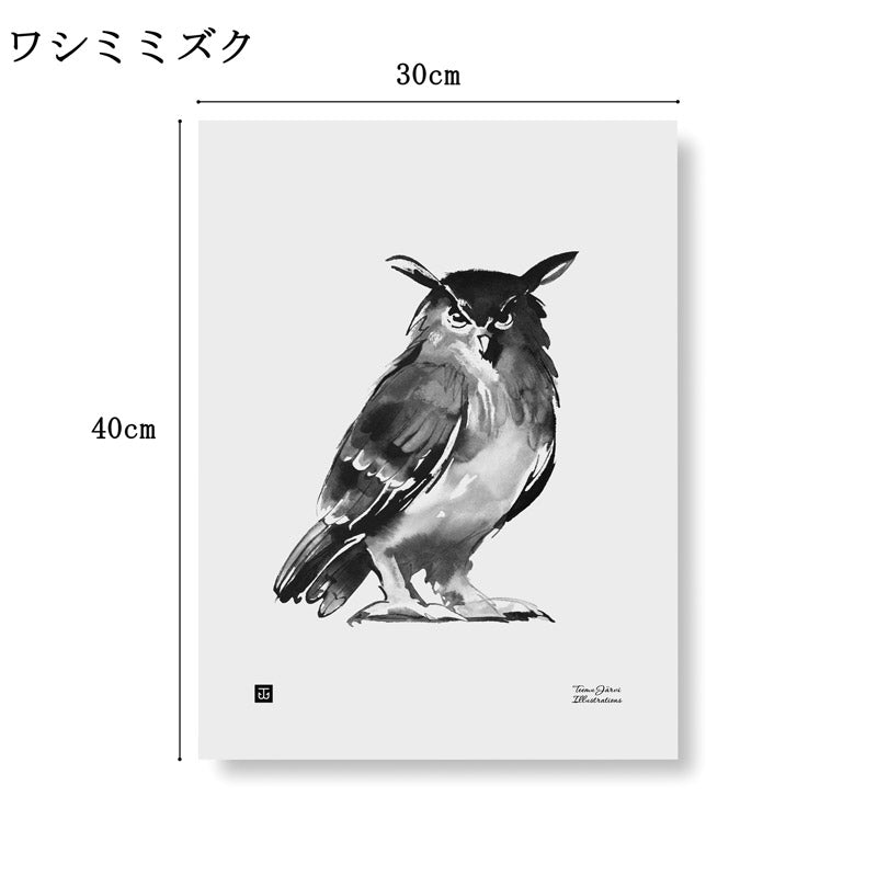 テーム ヤルヴィ ポスター ワシミミズク 30×40cm