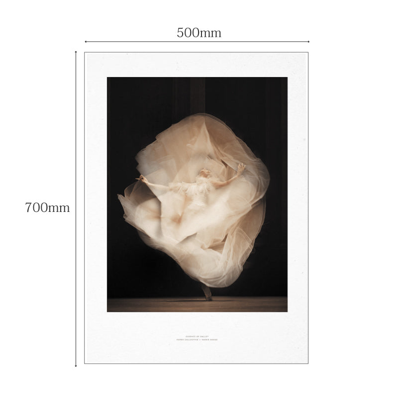 ペーパーコレクティブ ポスター Essence Of Balet 01 50×70cm